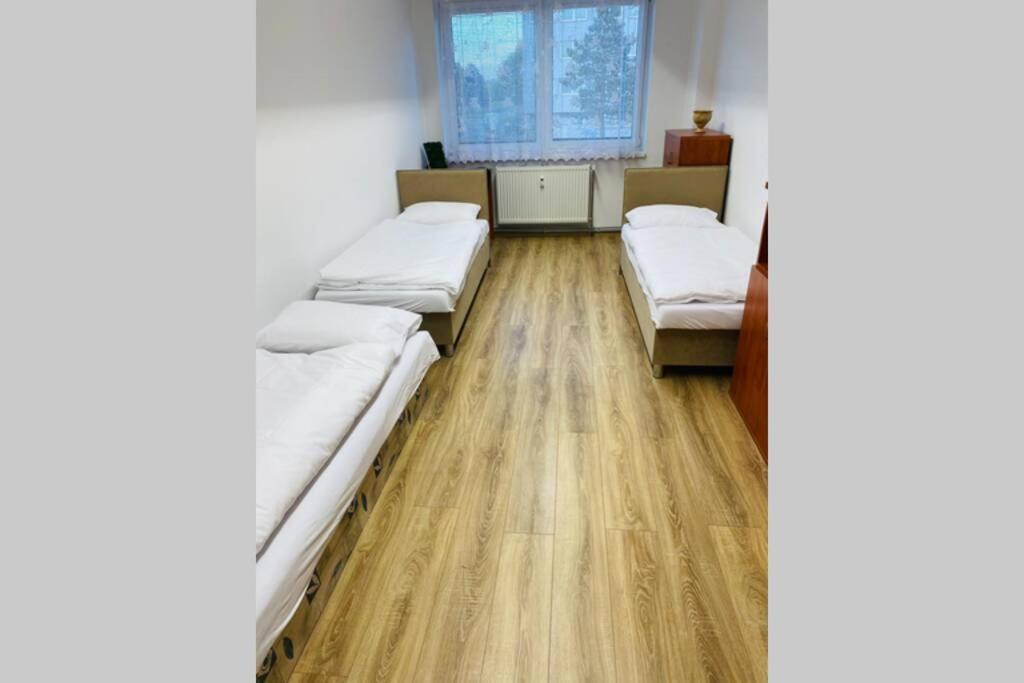 Apartman Solax, Ucnovska 8, Kosice Saca المظهر الخارجي الصورة